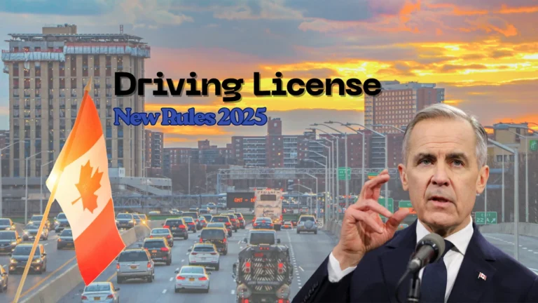 Canada Driving Licence