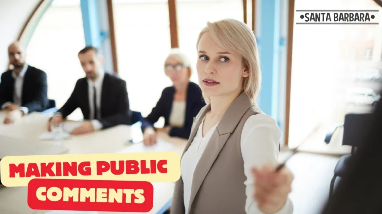 Make Public Comments