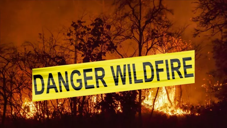 legal implication to evacuate during wildfires